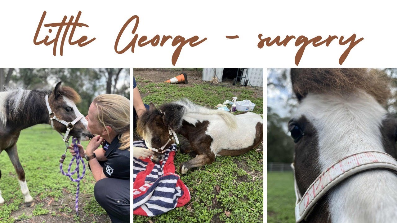 George had surgery :(