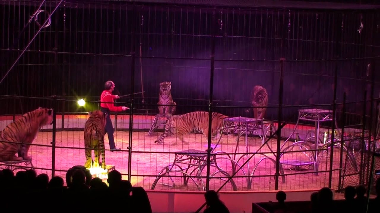 Eric Bormann tigres Grenoble