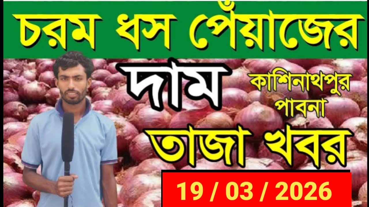 19/3/2026 পেঁয়াজের বাজার আজ কয় টাকা? | পেঁয়াজের দাম বাধেরহাট পাবনা | onion market Pabna 