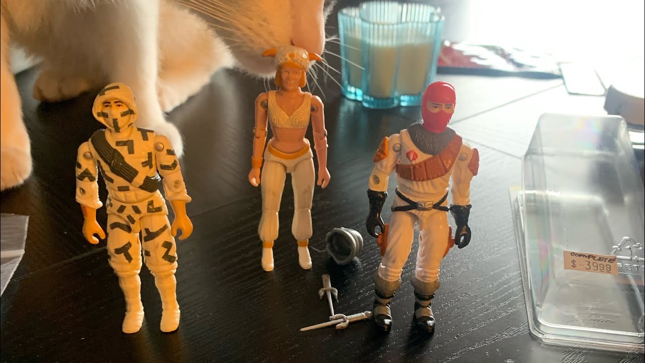 First trip to my local Ohio toy store #gijoe #actionfigures #vintagetoys