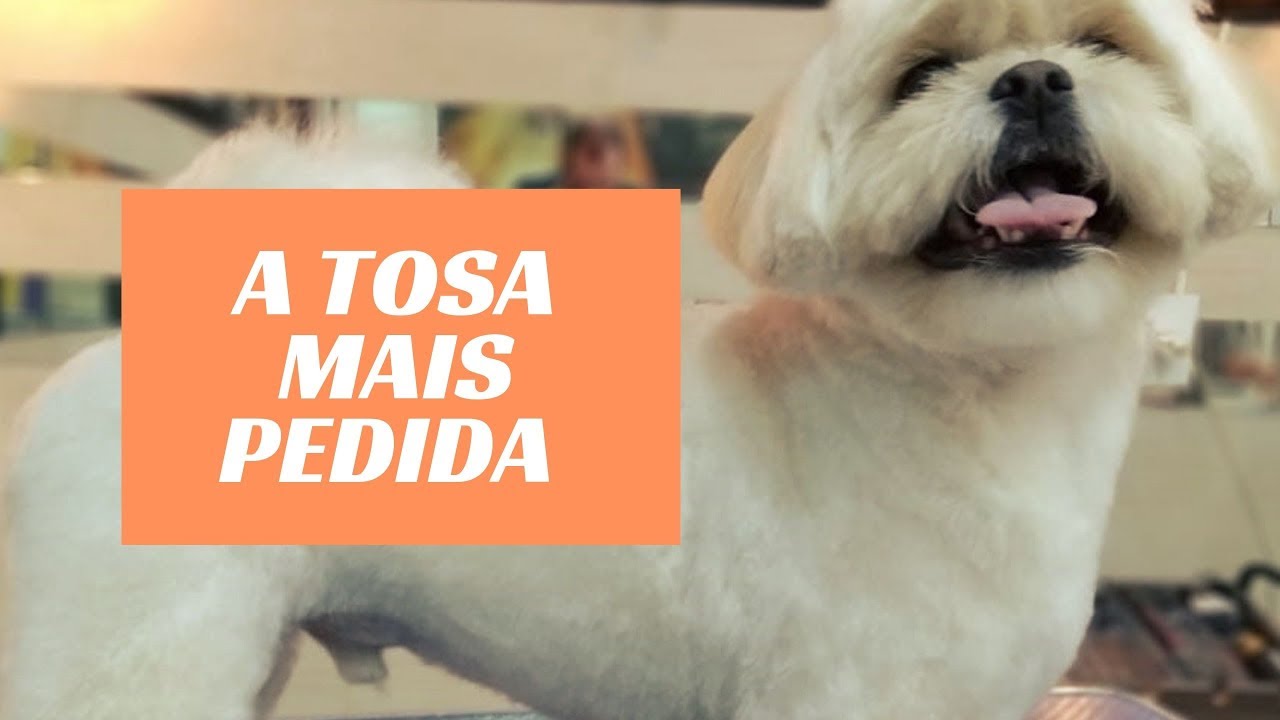 A TOSA MAIS PEDIDA