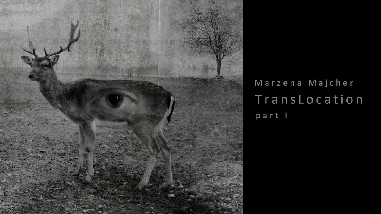 Marzena Majcher - TransLocation - part I - video