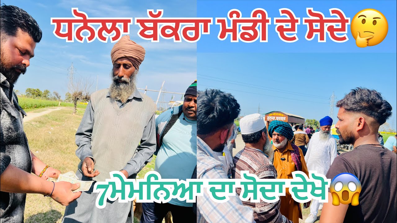 ਧਨੋਲਾ ਬੱਕਰਾ ਮੰਡੀ ਤੇ ਸਦੀਕ ਦੇ ਸੋਦੇ 7 ਮੇਮਨੇ  33000 ਦਾ ਸੋਦਾ ਖੱਸੀ ਬੱਕਰਾ ਫਸੀ ਗਰਾਰੀ🤔#bakramandi #naveedkhan