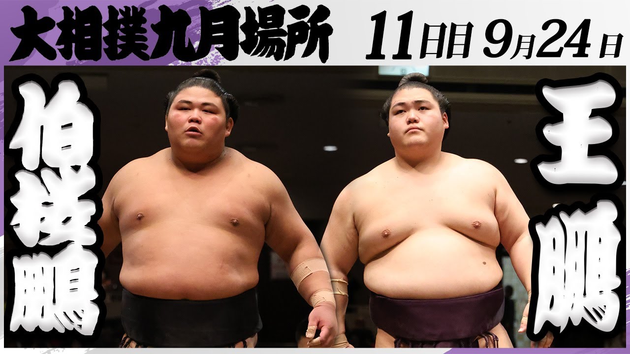 大相撲　伯桜鵬ー王鵬＜令和7年九月場所・１１日目＞SUMO