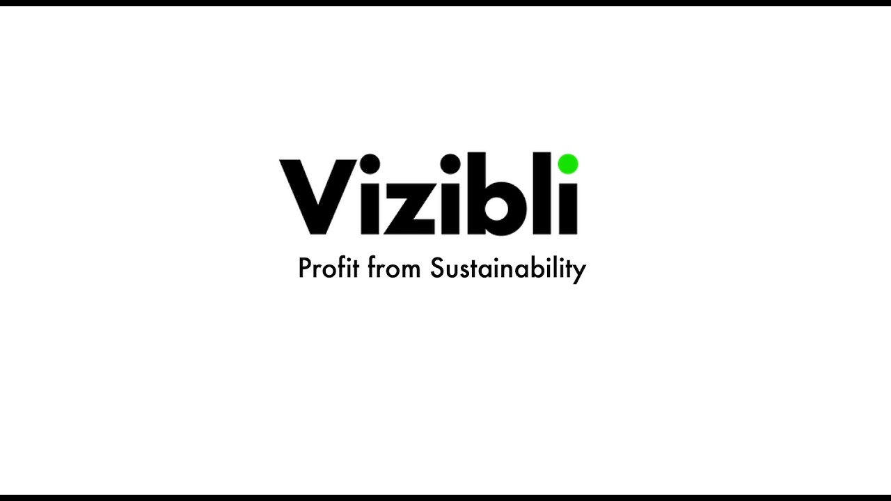 Vizibli Intro