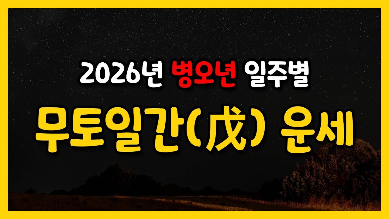 병오년) 무토일간 운세 심층분석