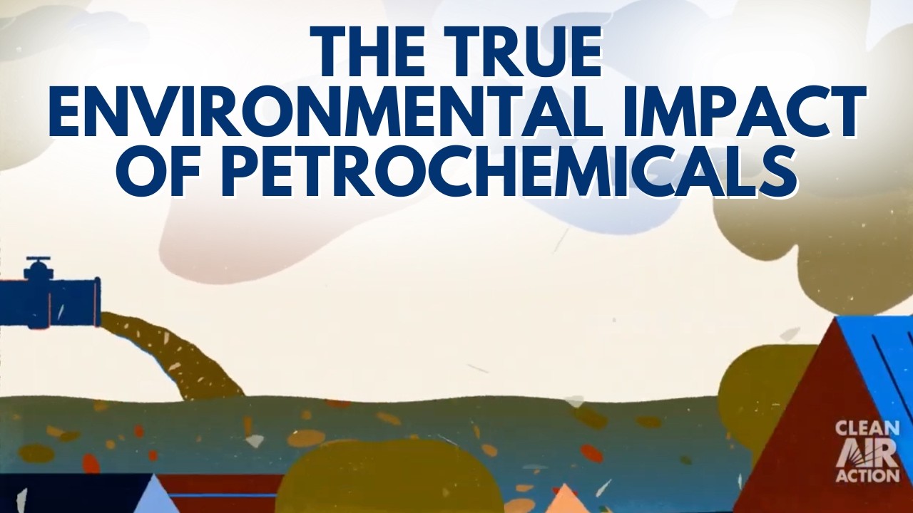 The True Environmental Impact of Petrochemicals