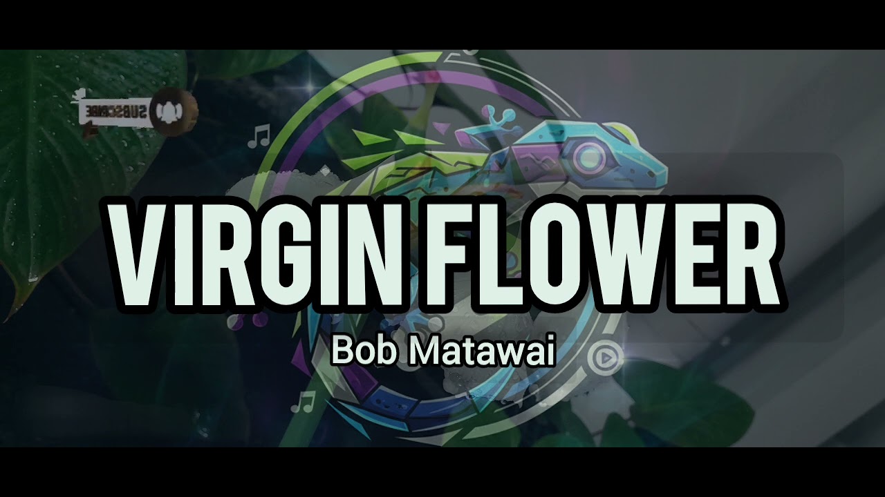 Virgin Flower - Bob Matawai | Manus Hits