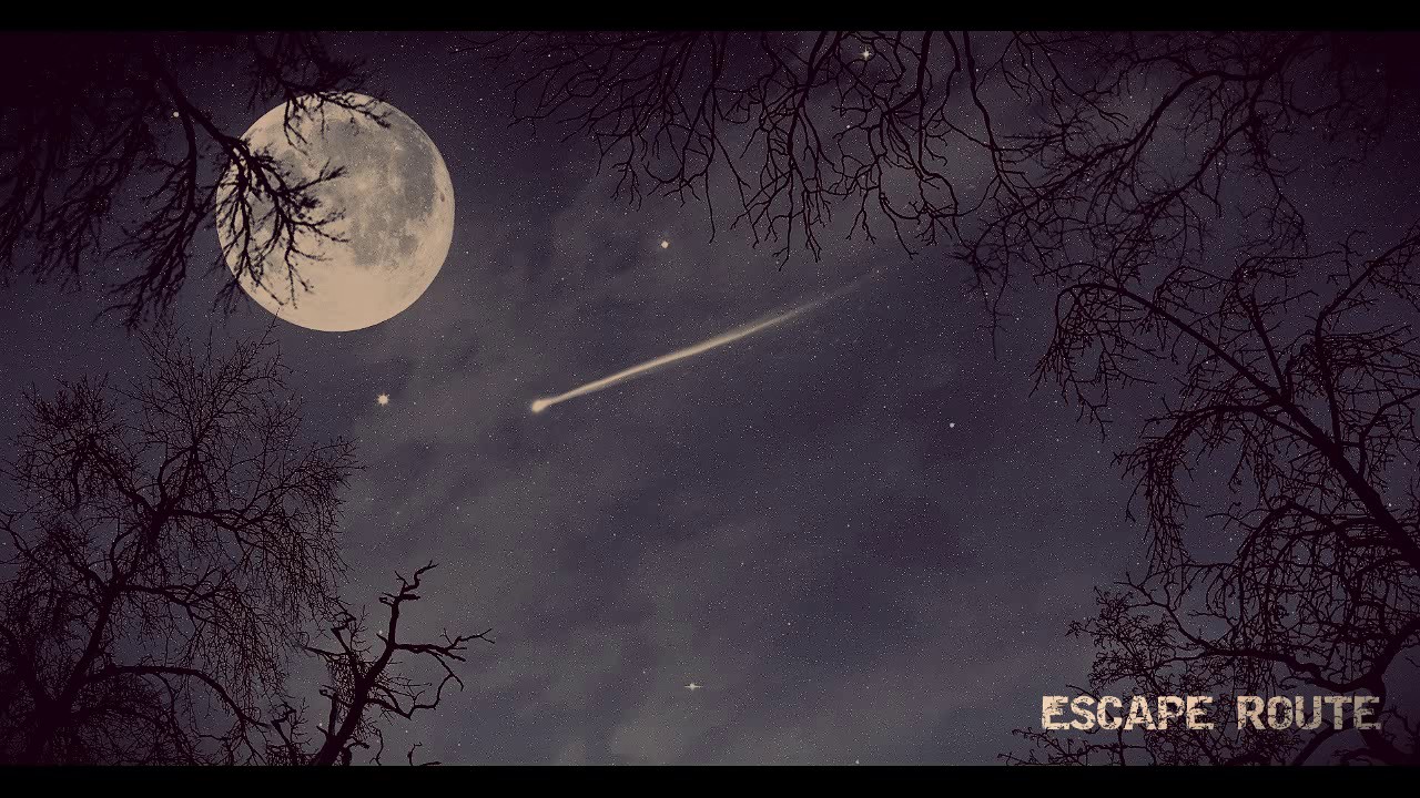 Emily Jane White - Nightmares on Repeat