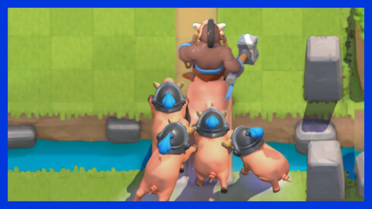 more hog