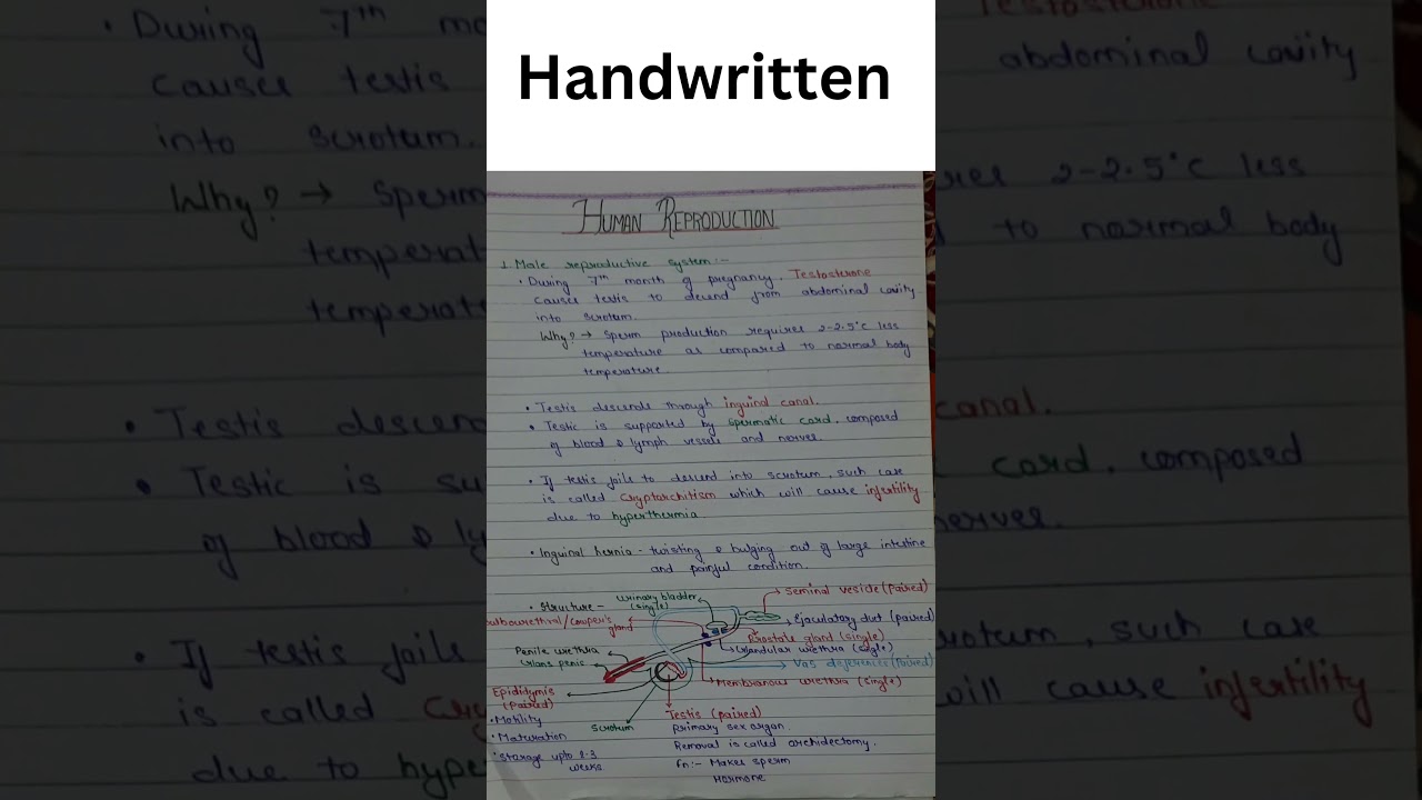 #neet2025 #neetshortsnotes #neetshorttricks #dailymotivation