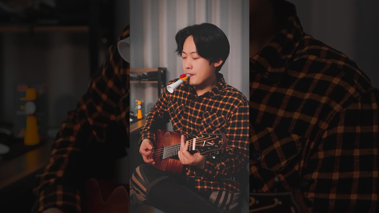 How about a kazoo paired with a guitar? 
