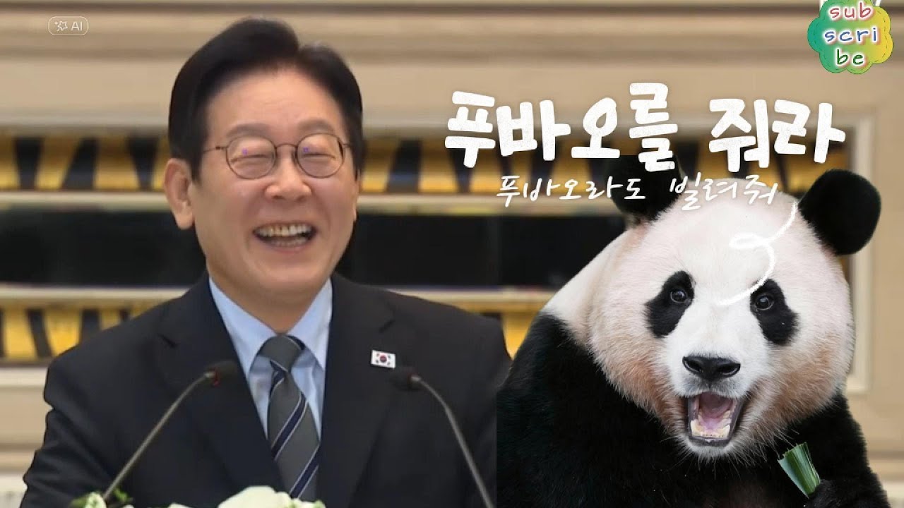 푸바오 왜 다시 못 와요?