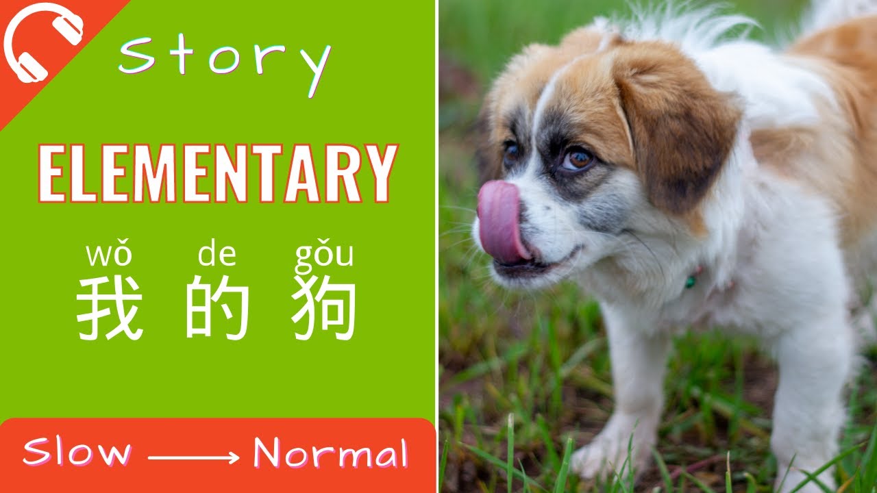 [True Story]我的狗 Mandarin Chinese Short Stories for Beginners | Elementary Chinese Listening Practice