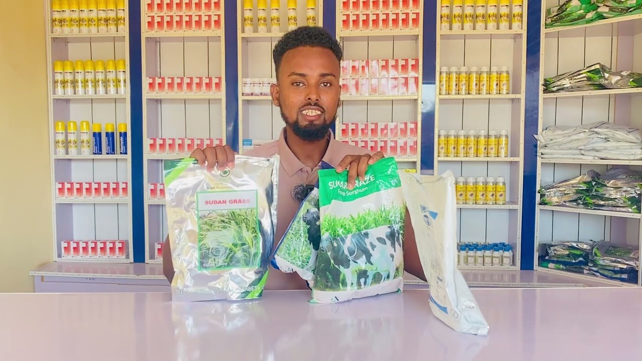 Cawsaskan waxaay leeyihiin nafaqo badan 🌱 
