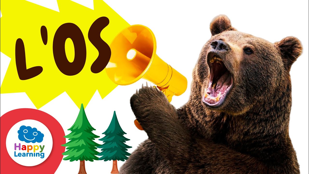 L'ÓS | Animals per a Nens | Happy Learning 🧸🐼🐻‍❄️ #happylearning #ós #animals