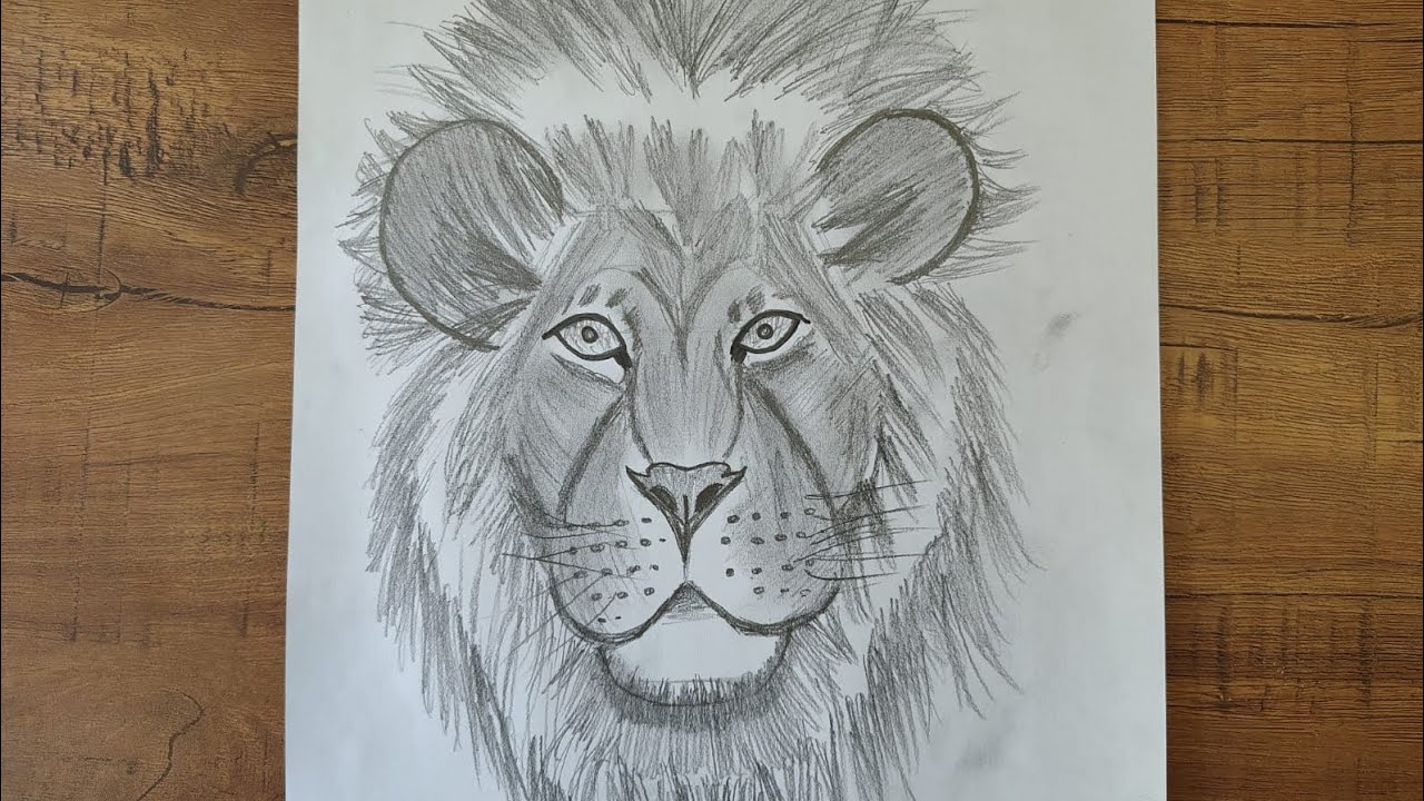 How to draw a Lion 