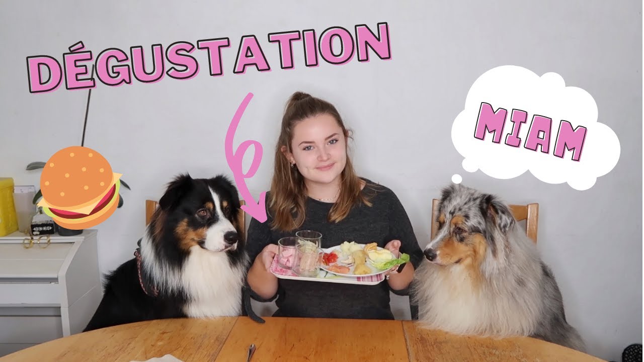 MES CHIENS GOÛTENT DES ALIMENTS (Partie 2)