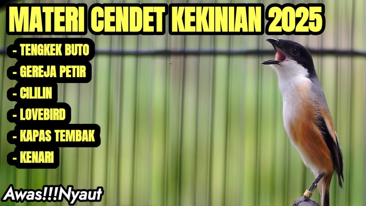 MASTERAN SUARA BURUNG CENDET MATERI TERBAIK 2025