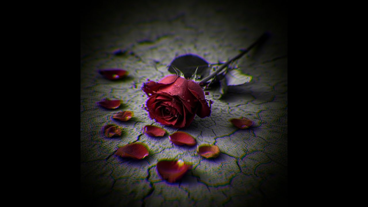 You broke me So hard