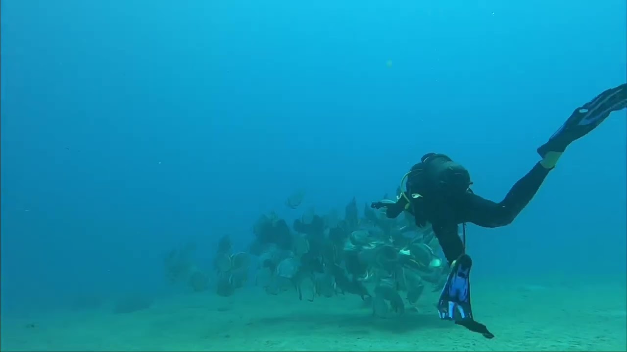 Plong&eacute;e du 20/03/22 avec Iatok, Noum&eacute;a