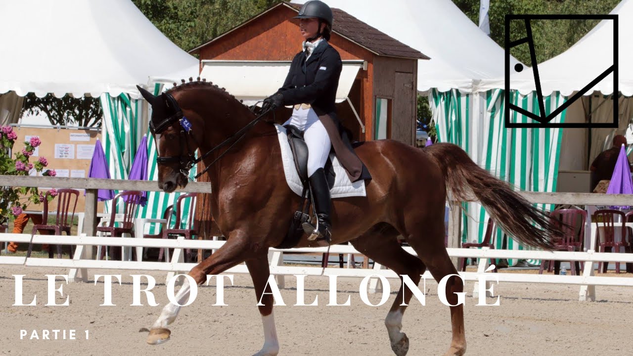 COMMENT DEVELOPPER LE TROT ALLONGE EXPRESSIF  - EXERCICE 1