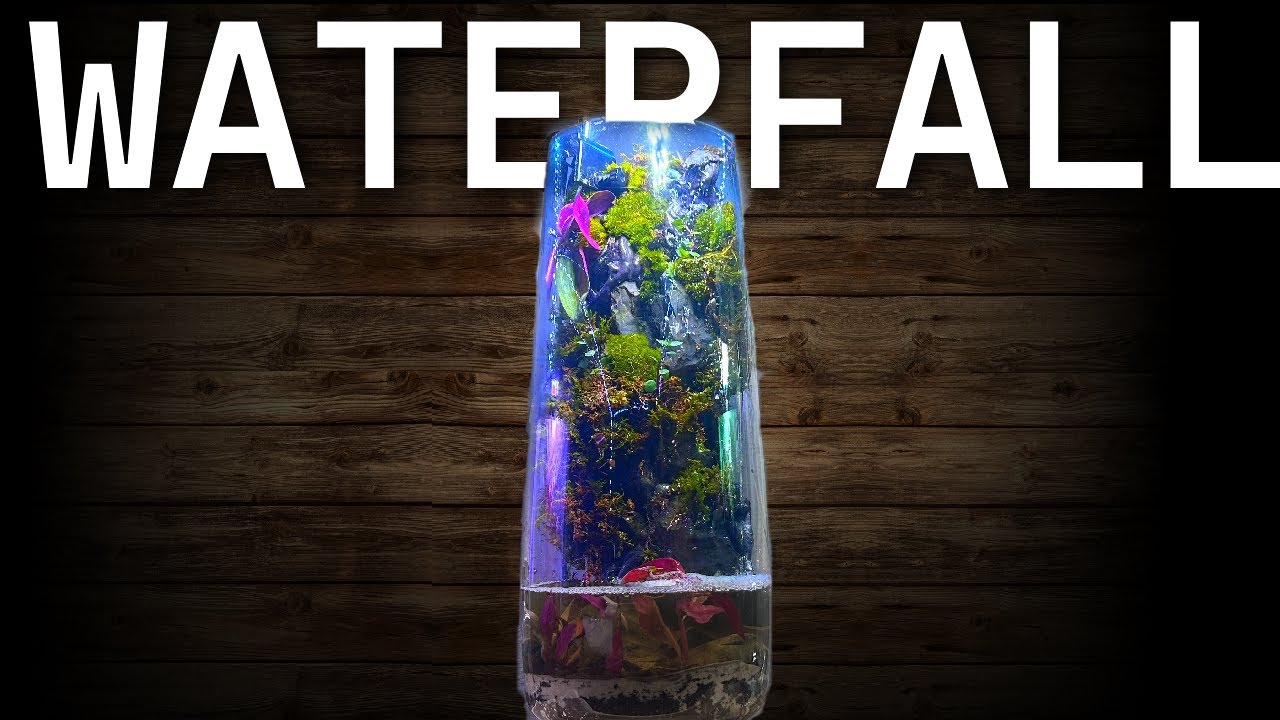 I built a Waterfall ecosystem on my Desktop (Paludarium)