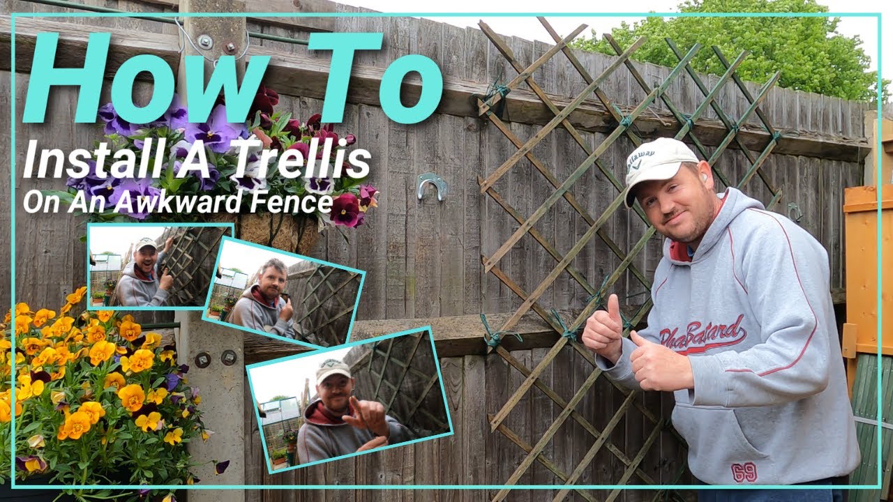 How To Install A Trellis On An Awkward Fence