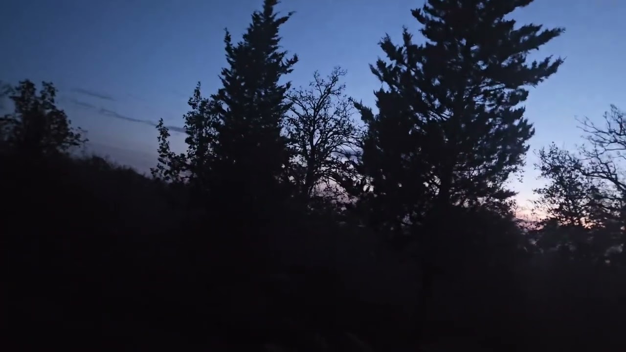 Lov &scaron;ljuke prelet - slow motion