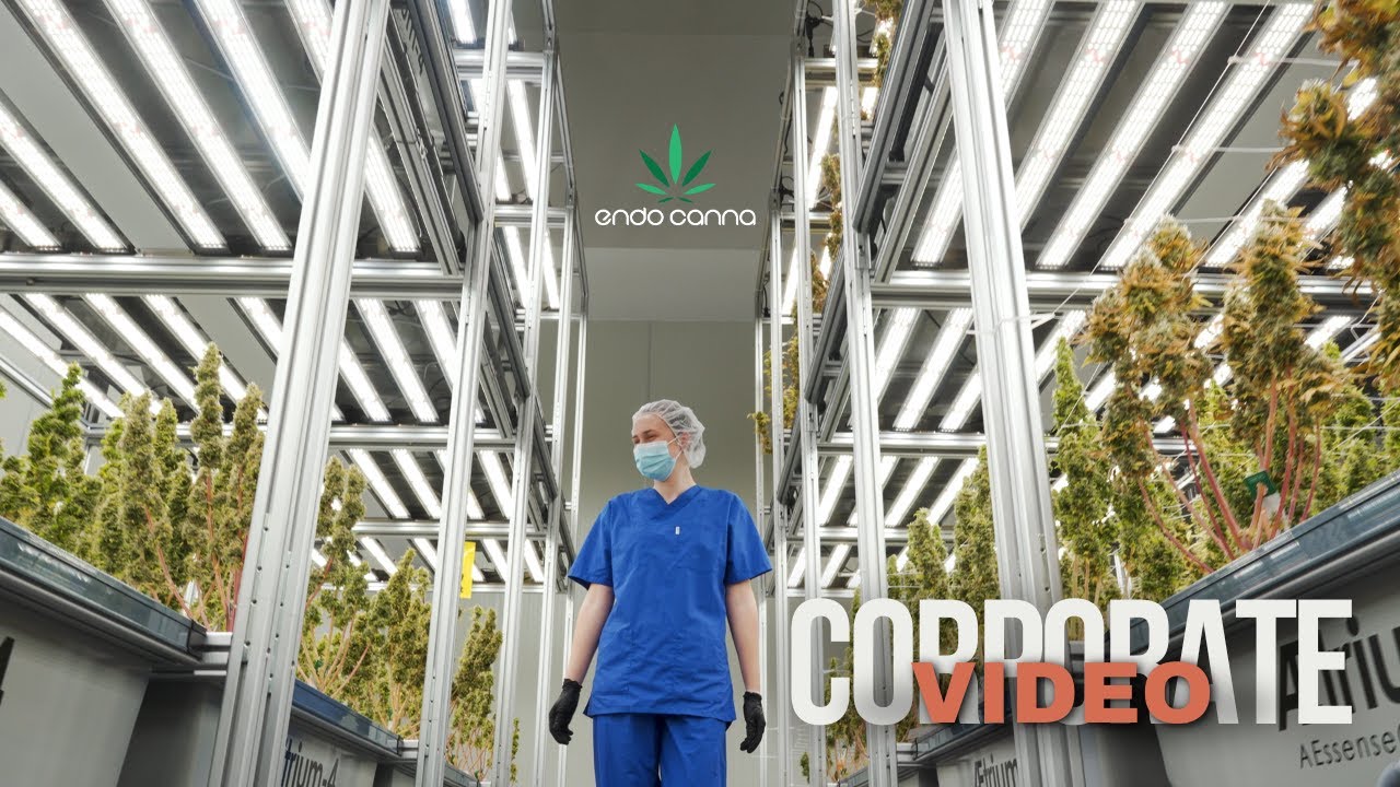 Corporate video for Medical Cannabis Licensed Producer Endo Canna
