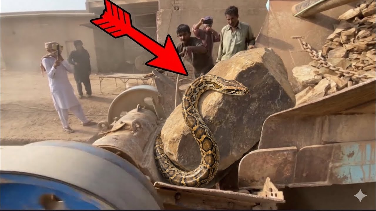 . Giant Boulder vs Jaw Crusher! Super SatisfyingIndustrial Action😱