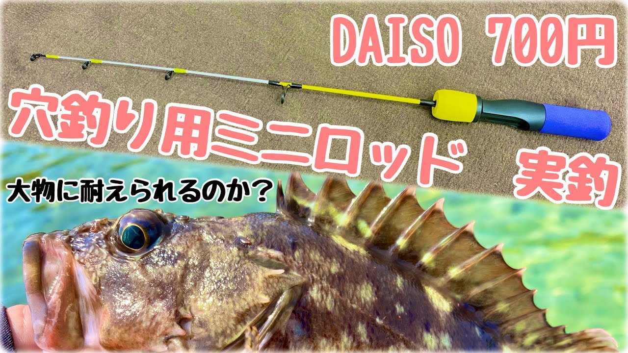 【１００均釣り具】DAISO穴釣りロッドは大物根魚に耐えられる？【実釣】