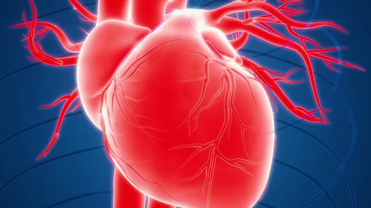 Aortic Aneurysm - NewYork-Presbyterian Hospital & Weill Cornell Medicine