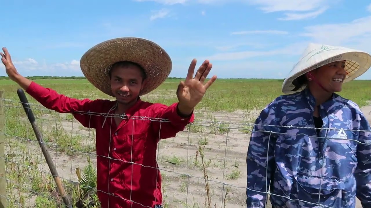 COCONUT PLANTING AND GETTING STUCK IN SAND WHILE FISHING