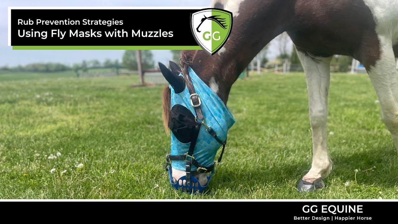 Info for Horses Using Fly Masks with Grazing Muzzles