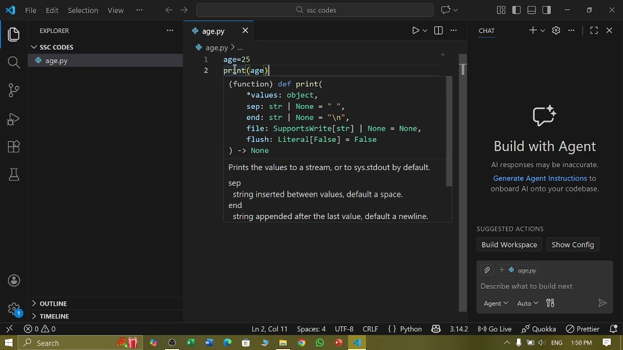 python variable
