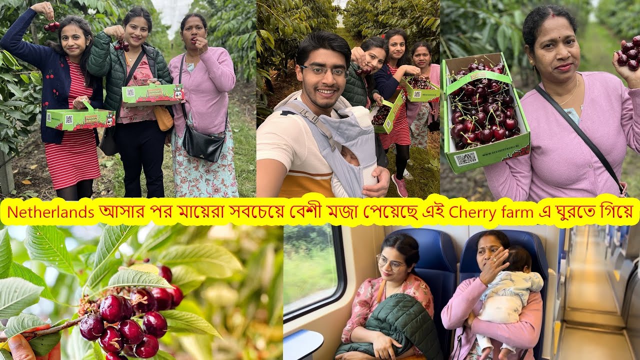Netherlands আসার পর মায়েরা সবচেয়ে বেশী মজা পেয়েছে গ্রামের রাস্তায় হেটে,এই Cherry farm এ ঘুরতে গিয়ে.
