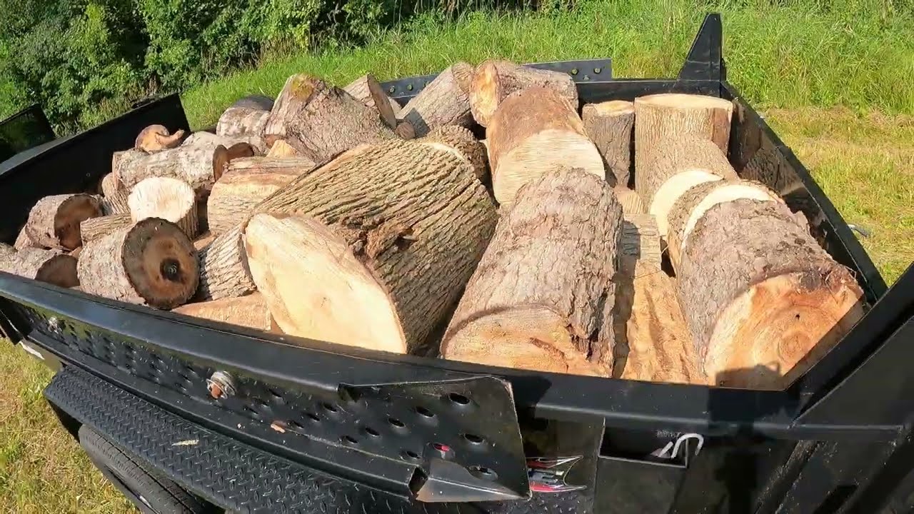 Load of Firewood rounds