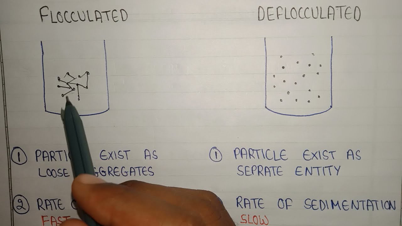 Difference between flocculated and deflocculated suspension