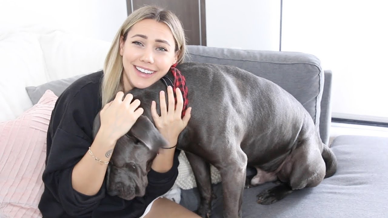 Meet My 85lb Dog!