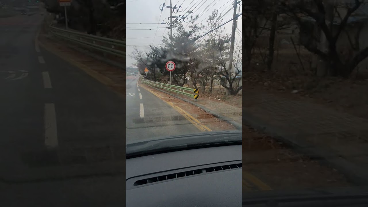 科目三 C路线