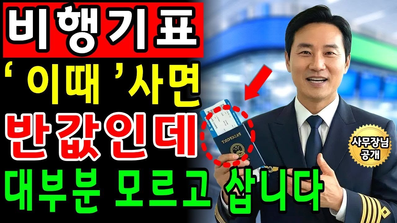 항공권 반값✈ 항공사 사무장이 말하는 ‘이때가’ 가장 쌉니다! 비행기표 싸게 사는 방법