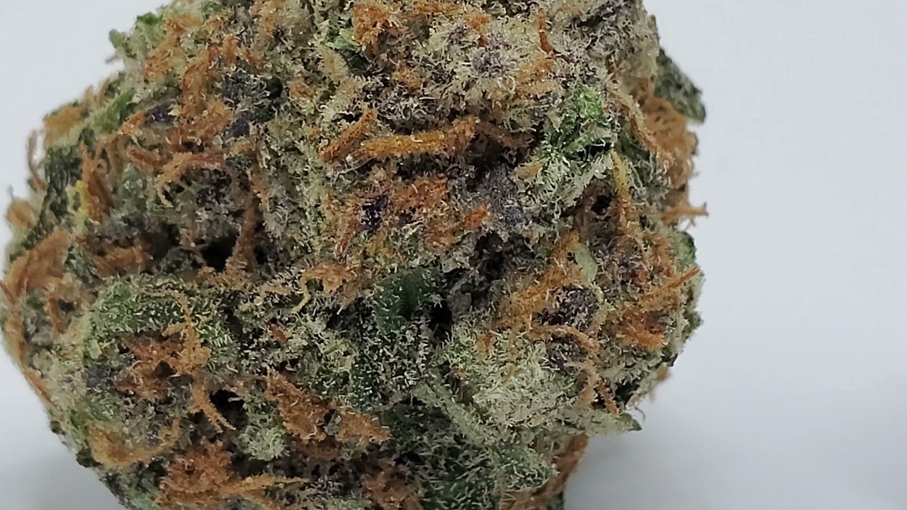 Grease Monkey- One Two Treez
