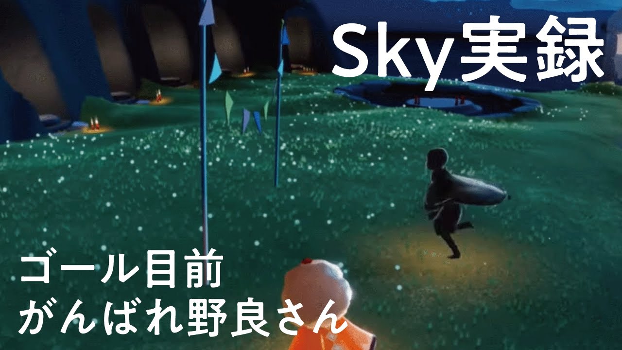 がんばれ野良さん［sky実録］