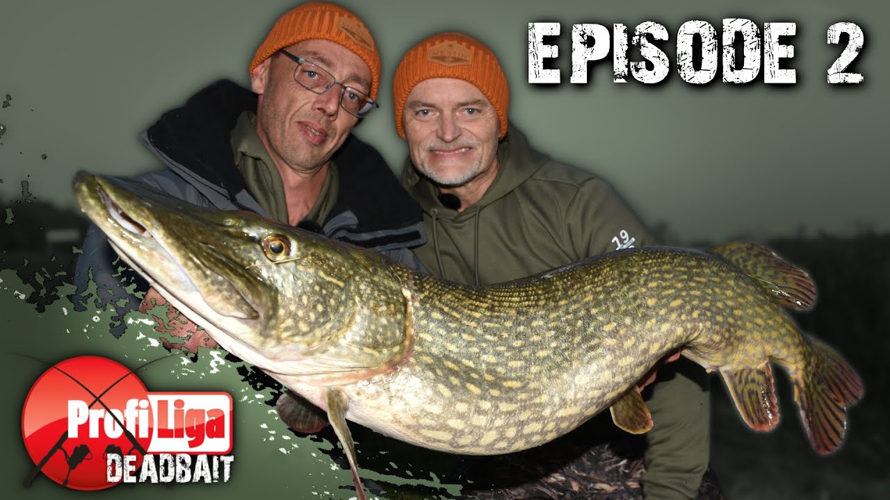 Die Abendbei&szlig;zeit kommt! 🔴 Profi Liga Deadbait, Episode 2