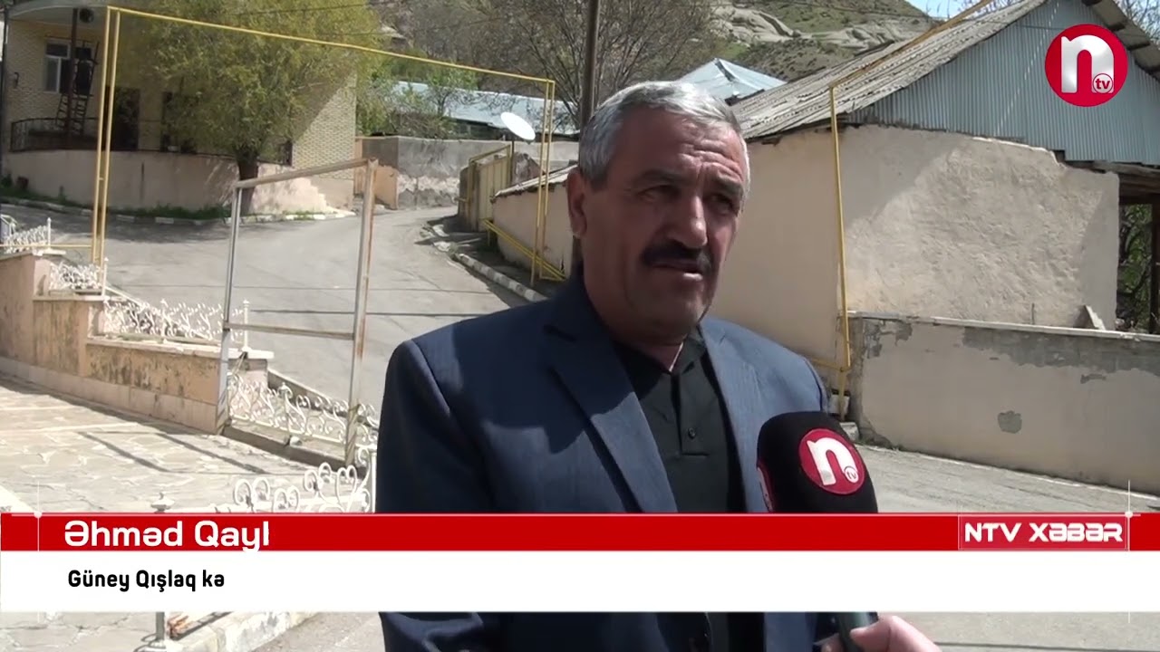 ŞAHBUZDA YIRTICI HEYVANLAR TƏSƏRRÜFATLARA ZİYAN VURUR - 30.04.2025