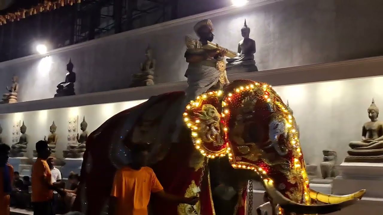 Nawam Perahera at Gangaramaya Temple 01.02.2026