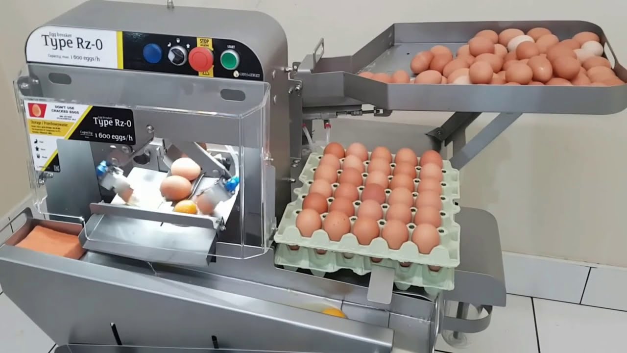 AMAZING EGG PROCESSING TECHNOLOGY AUTOMATIC EGG GRADING & PACKING MACHINE|EGG BREAKING & SEPARATING