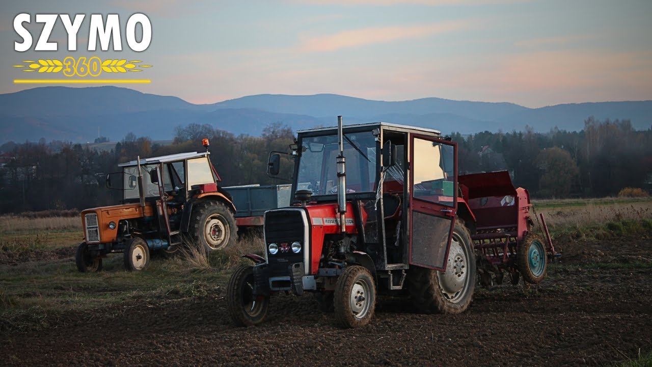 🔥☆Siew pszenicy 2025☆🔥☆Jesień 2025☆🔥☆URSUS C-355 ☆ MASSEY-FERGUSON 255 & Poznaniak ☆🔥