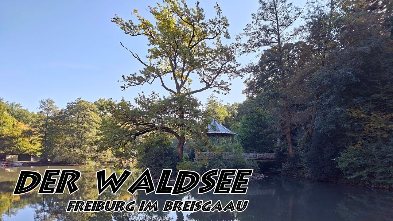 Der Waldsee in Freiburg &ndash; Geschichte, Gegenwart, Eindr&uuml;cke #4k